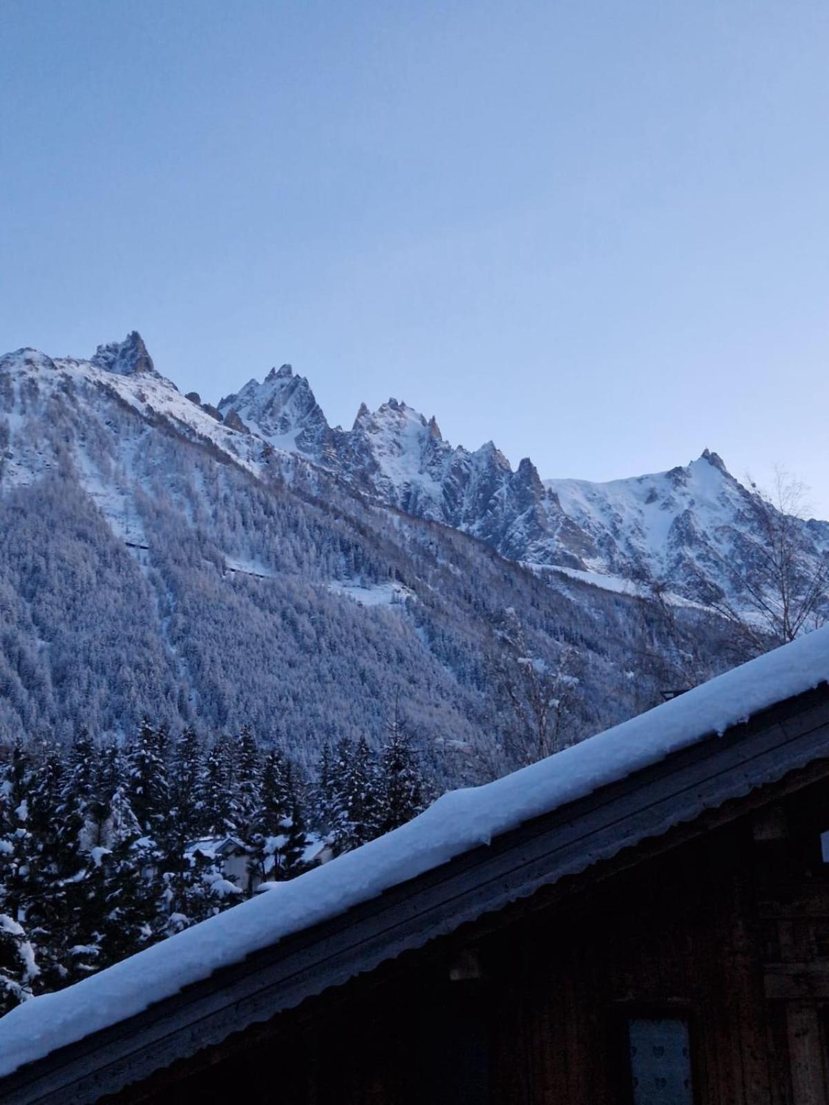 Appartement Ensoleille Aux Tines, Vue Massif Chamonix Exteriör bild